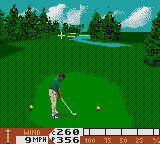 Скриншот игры PGA Tour 96